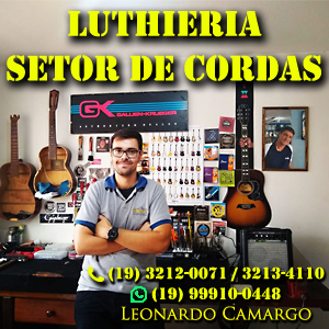 Banner Lateral luthieria leo 300x300