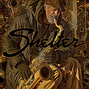 Banner Latera Shelter 2020 300x300