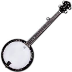 Imagem de Banjo Strinberg - WB50