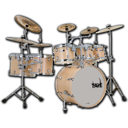 Imagem de Bateria Taye Pro X Fusion 10/12/14/16/22/cx14 Natural Lacquer c/ Ferragens - PX-NGSP-FS1